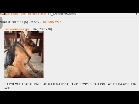 Видео: Сигнум, целые, дробные. Сумма и произведение. Функция от функции