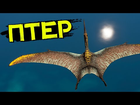 Видео: Птеранодон или же ПТЕР! Летающий дино разведчик! Хорды! THE ISLE Evrima