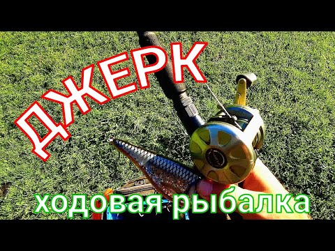 Видео: РЫБАЛКА НА ЩУКУ С БЕРЕГА. Упираюсь в джеркбейты джерк Buster Swim джерк Zalt Z и джерк Jolly Dancer.