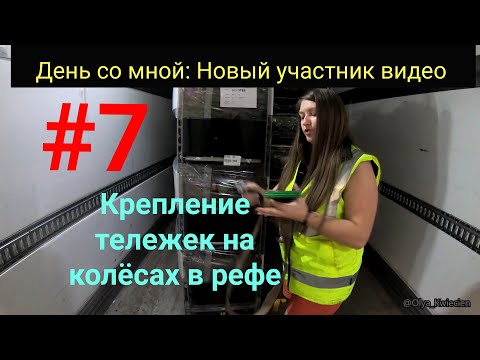 Видео: День со мной #7: Закрепляю груз в рефе. Пёс. Цветы.