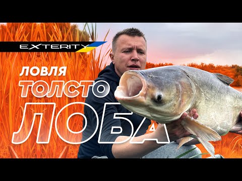 Видео: Ловля толстолоба на флет. Exterity Hardcore