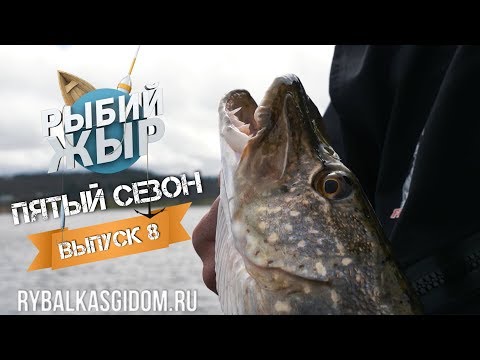 Видео: Клев трофейной щуки и рыболовные приметы, в чем связь? Рыбий жЫр 5 сезон выпуск 8