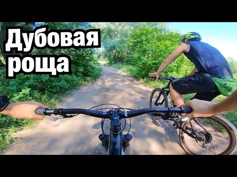 Видео: ДУБОВАЯ РОЩА И МИНИСТЕРКА! Ищем интересные места в городе Киев на велосипеде.