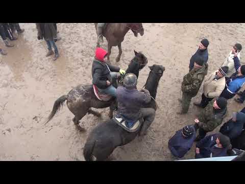 Видео: Баймурат аганын бата алу кокпары Шубарсу 20 12 2017 Ч2