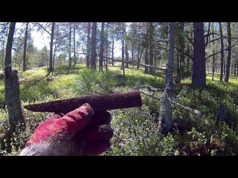 Видео: Рыбалка Коп Старинное озеро 3 Minelab CTX 3030