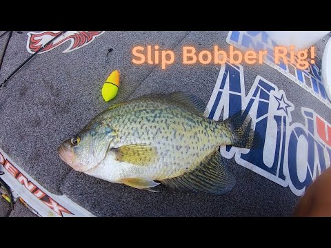 Видео: Как ловить краппи на оснастку SLIB BOBBER! (ПРОСТО И ЛЕГКО!!)