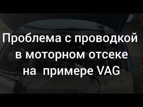 Видео: Проблема с проводкой в моторном отсеке на примере VAG