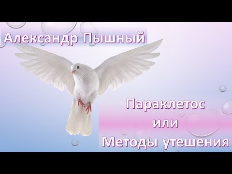 Видео: Александр Пышный - Параклетос или Методы утешения
