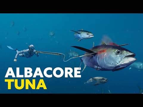 Видео: Мы первые, кто поймал эту рыбу здесь