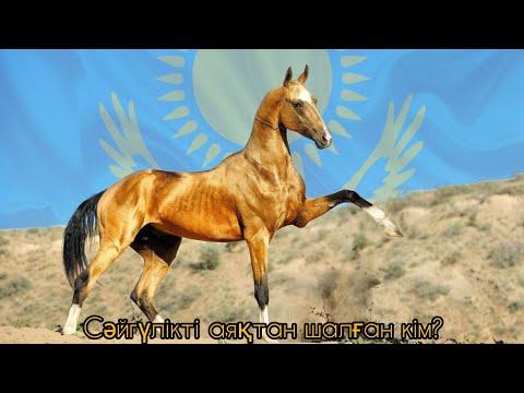Видео: Ардакүреңнің соңғы бәйгесі | Арбаға жегілген Тұлпар