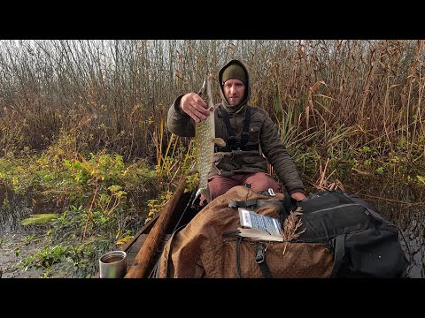 Видео: Осіннній Стохід спінінгова Риболовля на щуку