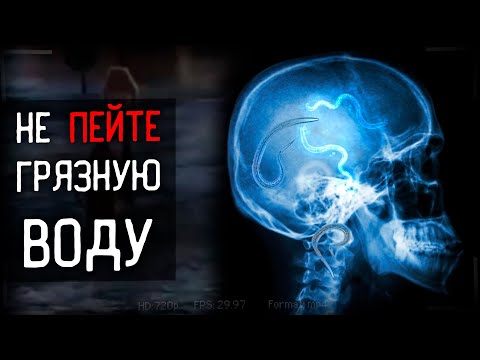 Видео: РЕКА ПОЛОЖИВШАЯ КОНЕЦ ЧЕЛОВЕЧЕСТВУ | The Tangi Virus