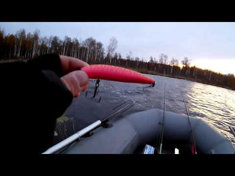 Видео: Трудовая рыбалка в ураганный ветер и много пойманной щуки!Часть 1  Kosadaka Intra XS 95F