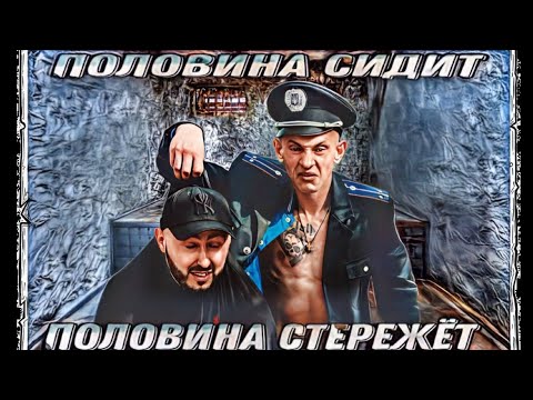 Видео: Половина сидит, половина стережёт!