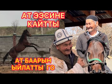 Видео: Ата КАЙРЫМДУУЛУК кылган ат КАЙРА кайтты // Таң калып бүтпөй КОЙДУМ кыргызым