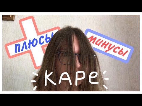 Видео: ПЛЮСЫ И МИНУСЫ КАРЕ