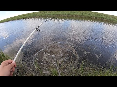 Видео: ЖЕСТЬ.ТАКОГО ВЫ ЕЩЁ НЕ ВИДЕЛИ!!! ЭТИ САЗАНЯРЫ ГНУЛИ СПИННИНГИ ДО ВОДЫ, Я ДУМАЛ ОНИ ЛОПНУТ))) 1серия