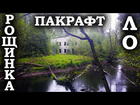 Видео: Порвал пакрафт. Рощинка. Санкт-Петербург
