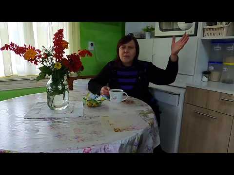 Видео: НАКИПІЛО. ВІН ЖЕ ХВОРИЙ НА ГОЛОВУ