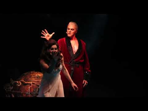 Видео: "Мастер и Маргарита" 15.05.24 Глобус - Иван Ожогин, Анастасия Вишневская