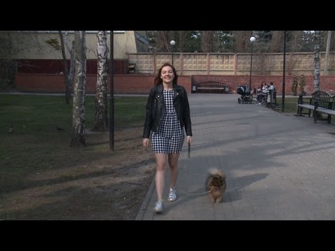 Видео: #КАК_ЗАРАБОТАТЬ. Выгул собак