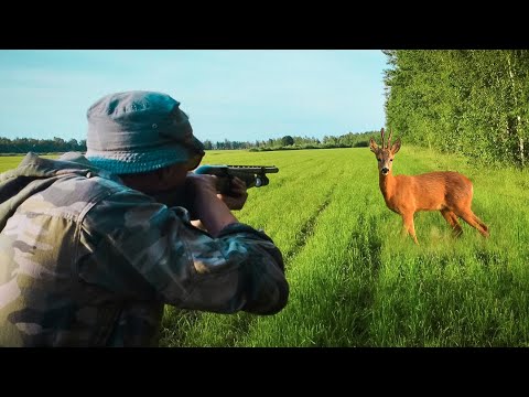 Видео: ОХОТА С ДРОБОВИКОМ НА САМЦА КОСУЛИ. Добыл 2 козла за выход
