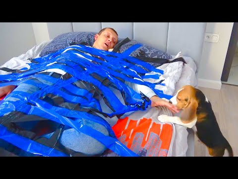 Видео: Коля ПРОВИНИЛСЯ. Оксана ПРИКЛЕИЛА ЕГО К КРОВАТИ. НЕРФ БРОС ШОУ