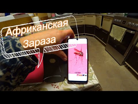 Видео: Выживание на линии фронта. 13 серия. Подсобное хозяйство. Хроники Рыбиных.