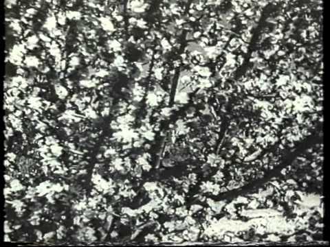 Видео: Слово об одной русской матери