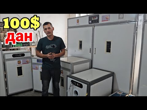 Видео: Инкубаторлар сотилади 88 тадан 15.000 тага