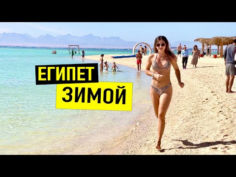 Видео: ЕГИПЕТ 2024. МОРЕ ЭМОЦИЙ! Вот это повезло