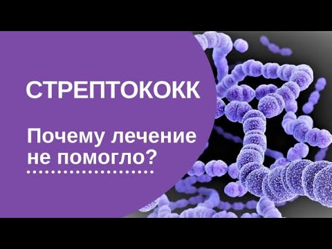 Видео: Стрептококк. Почему лечение не помогло?
