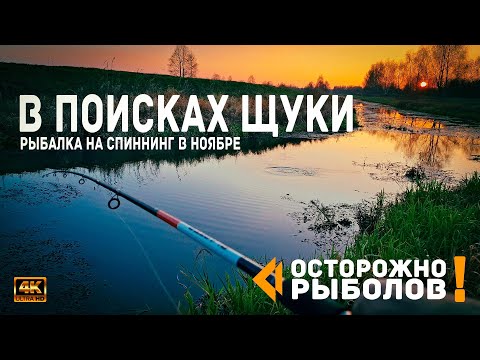 Видео: Рыбалка на спиннинг в ноябре. В поисках щуки. Разговор "О том, о сём". Рыбалка в Беларуси.