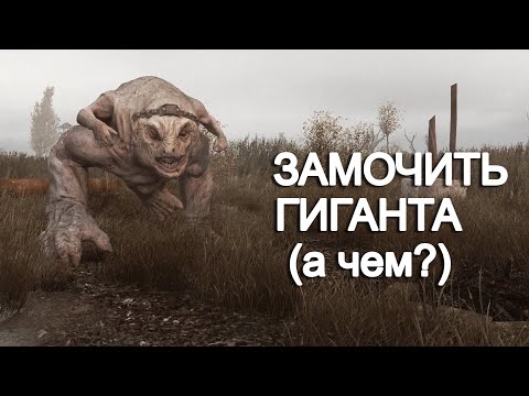 Видео: Этот квест придумал "гений". STALKER Anomaly Epilogue #6