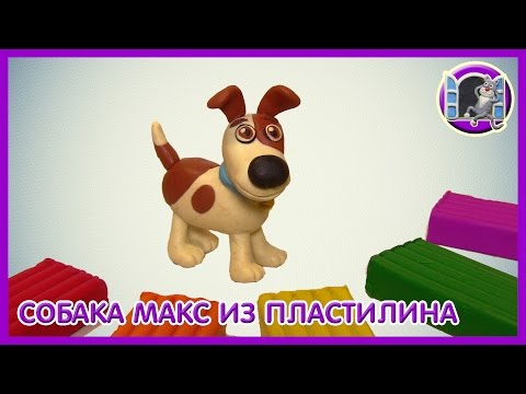 Видео: КАК СЛЕПИТЬ СОБАКУ МАКСА Тайная Жизнь Домашних Животных | Видео Лепка