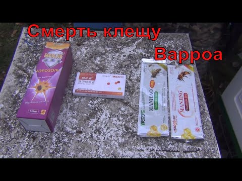 Видео: Уничтожение клеща варроа. Чем мы обрабатываем пчел от клеща ЛЕТО-ОСЕНЬ