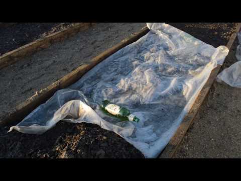 Видео: Теплые грядки весной