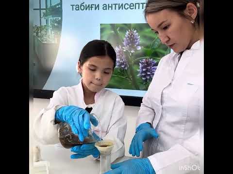 Видео: “Мен зерттеушімін” жобасы - Пірім Нұрсезім