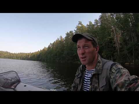 Видео: Лодка Гладиатор 420 под Сузой DF 15