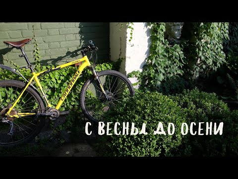 Видео: с весны до осени