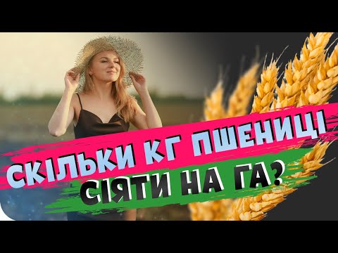 Видео: 🌾 СКІЛЬКИ КІЛОГРАМ ПШЕНИЦІ СІЯТИ НА ГЕКТАР?🤔 Основи землеробства