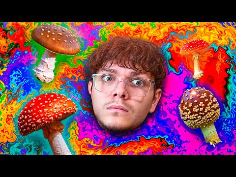 Видео: ДЕТАЛЬНО про Все Мухоморы 🍄 (то, что никто не говорит)