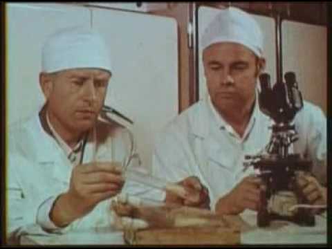 Видео: Туберкулёз сельскохозяйственных животных