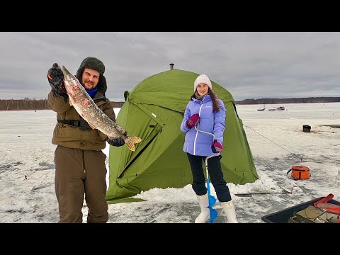 Видео: НАПРОСИЛАСЬ НА ЗИМНЮЮ РЫБАЛКУ С НОЧЕВКОЙ! Рыбачим как дома в новой палатке на Яузе.