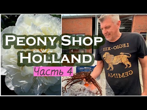 Видео: PEONY SHOP HOLLAND🇳🇱 ЧАСТЬ 4