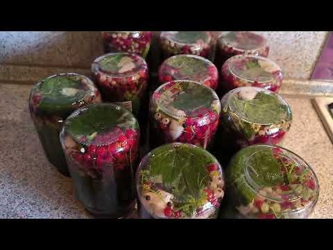 Видео: Закрываем самые вкусные маринованные огурцы с красной смородиной Просто и быстро