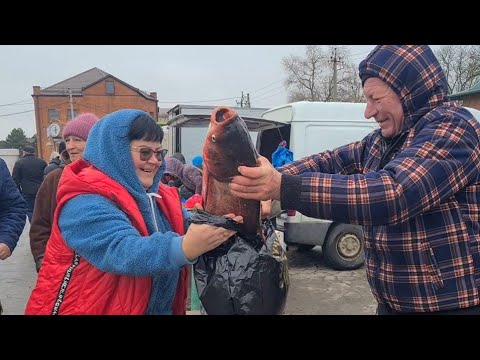 Видео: Ейск🌹Рынок выходного дня в станице Старощербиновская. Наши покупки.