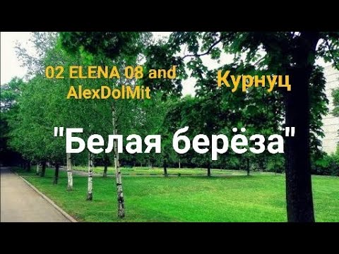Видео: 02 ELENA 08 and AlexDolMit - Кавер песни "Белая берёза" (Курнуц). Запись с караоке StarMaker.