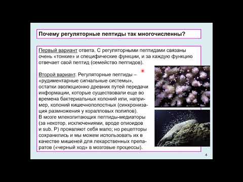 Видео: Дубынин В. А. - Химия мозга - 10. Субстанция P, окситоцин, семакс