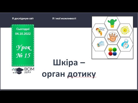 Видео: ЯДС 1 клас. Урок 15. Шкіра - орган дотику.